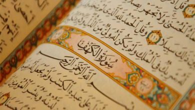 الشعراوي مفسرًا سورة "الكهف": لهذه الأسباب ألقى الله النعاس على أهل الكهف فناموا