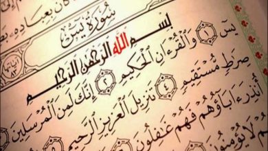 تعرف على حكم قراءة سورة "يس" بنية قضاء الحاجة.. الإفتاء توضح