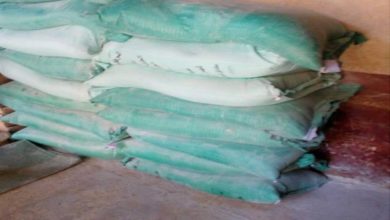 بالفيديو.. ضبط 11 طن سلع منتهية الصلاحية في أحد مخازن الجملة بالدرب الأحمر