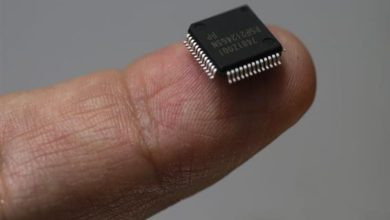 بسبب هذه الشريحة