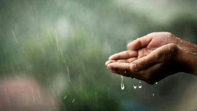 دعاء المطر.. سنن النبي وأدعيته أثناء المطر