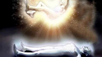 كيف يصل الدعاء للمتوفى ويشعر بمن يزوره وجسده يفنى؟