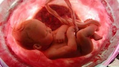 أبرزهن كيم كاردشيان.. ما حكم تناول بعض النساء "المشيمة" بعد الولادة؟