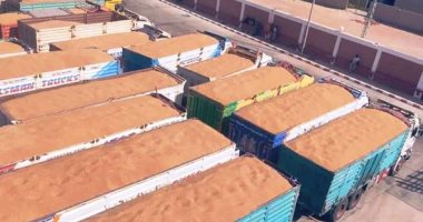 2.8 مليار طن إجمالى إنتاج الحبوب عالميا عام 2021