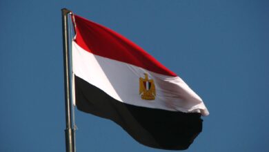 عضو المجلس المصري للشؤون الخارجية يرجح تبادل السفراء بين القاهرة وطهران قريبا