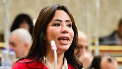 نائبة التنسيقية تتقدم بطلب مناقشة حول قصور دور "السياحة" فى سد الفجوة الدولارية