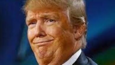 المدعية فانى ويليس تعترف بعلاقة رومانسية مع مدعٍ آخر فى قضية ضد ترامب