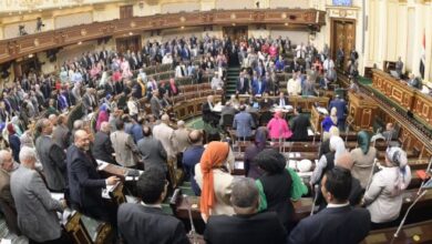 برلمانيون: قرارات الرئيس بشأن الحماية الاجتماعية تاريخية وأسعدت الملايين