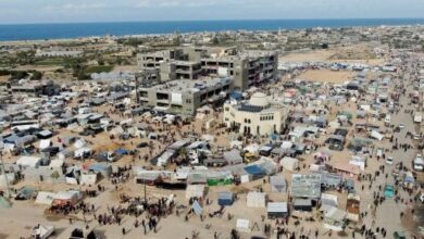 نائب: مصر تتعرض لحملة أكاذيب للتشكيك فى جهودها لدعم القضية الفسطينية