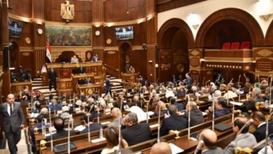 رئيس الشيوخ يشكر وزيرة الهجرة السابقة والسفيرة سها الجندى تعلق: نشكرك لتحية الوزيرات السابقات