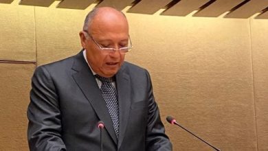 وزير الخارجية: أكدنا رفض تهجير الفلسطينيين من أراضيهم