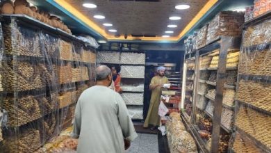 سابليه وكوكيز وكحك وغريبة.. استمتع بأشكال وأصناف كحك العيد بالأقصر.. فيديو