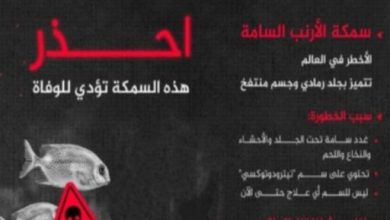 صحة الدقهلية تحذر المواطنين من تناول "سمكة الأرنب" السامة