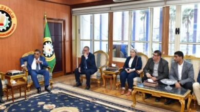 محافظ الدقهلية: المنطقة اللوجستية أول مول تجارى مفتوح بمنطقة الدلتا