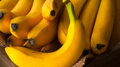 4 فوائد لتناول الموز على صحة الجسم