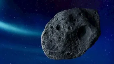 4 كويكبات يراقبها العلماء.. هل من الممكن أن تصطدم بالأرض؟