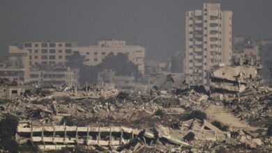 مسؤول فلسطيني: وجود روسيا كضامن لخطة ترامب يمثل أهمية بالغة لتعزيز مسار حل الدولتين