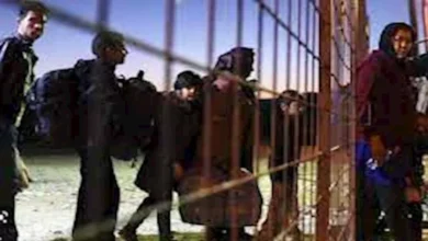 1 ديسمبر المقبل.. إدارة ترامب تستعد لعملية "Swamp Sweep" لترحيل المهاج