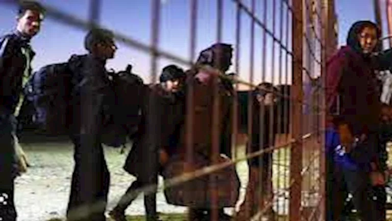 1 ديسمبر المقبل.. إدارة ترامب تستعد لعملية "Swamp Sweep" لترحيل المهاج