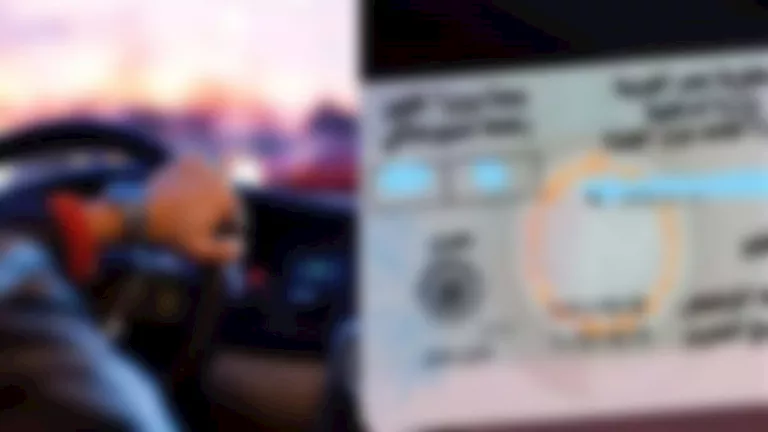 تجديد الرخصة بدون ورق.. كيف يسهل الربط الإلكتروني إجراءات المرور؟