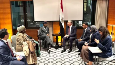 وزيرا مصر ونيجيريا يبحثان تعزيز الشراكة التعدينية في لندن