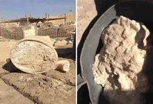 أقدم قطعة جبن في العالم