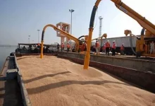 التنويع وعدم لعب الورق مكشوف.. خبير اقتصادي يوضح إستراتيجية مصر في است