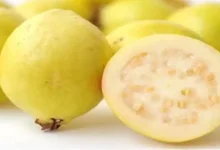 تأثير تناول الجوافة على صحتك