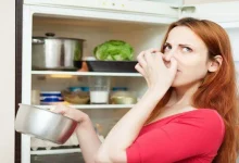 قبل رمضان.. طرق فعالة وآمنة للتخلص من روائح الثلاجة