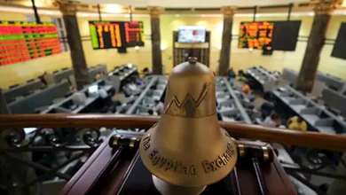 كيف يؤثر قرار خفض الفائدة على البورصة المصرية؟ خبراء يجيبون
