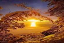 أجمل صور الغروب من عدسات المصورين حول العالم